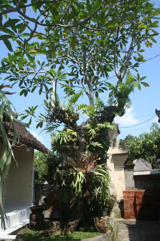 Nugraha Guesthouse 1 Ubud Extérieur photo